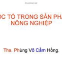 Bài giảng Độc tố trong sản phẩm nông nghiệp - ThS. Phùng Võ Cẩm Hồng