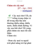 Chăm sóc cây mai