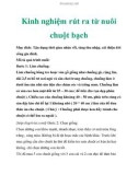 Kinh nghiệm rút ra từ nuôi chuột bạch