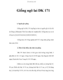 Giống ngô lai DK 171