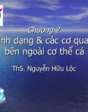 Chương 2: Hình dạng & các cơ quan bên ngoài cơ thể cá