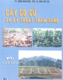 Kỹ thuật thâm canh cây sắn: Phần 1