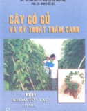 Kỹ thuật thâm canh khoai từ - vạc: Phần 1