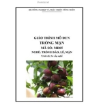 Giáo trình Trồng mận - MĐ05: Trồng đào, lê, mận