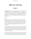 Phái võ ở Việt Nam - Phần 2