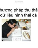 Phương pháp thu thập dữ liệu hình thái cá