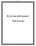 Kỳ ảo mực phát quang ở Vịnh Toyama