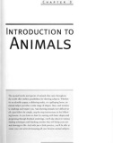 The Art Of Animal Drawing - Introduction To Animal