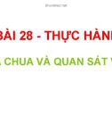 Bài giảng môn Khoa học tự nhiên lớp 6 bài 28: Thực hành làm sữa chua và quan sát vi khuẩn