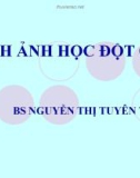 Bài giảng Hình ảnh học đột quỵ - BS. Nguyễn Thị Tuyên Trân