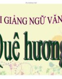 Bài giảng Ngữ văn lớp 8: Quê hương