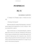 PEMPHIGUS (Kỳ 3)