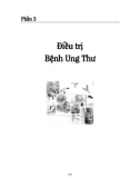 Bài giảng Hóa trị liệu: Phần 2 - Trường ĐH Võ Trường Toản