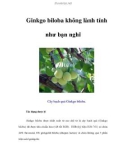 Ginkgo biloba không lành tính như bạn nghĩ