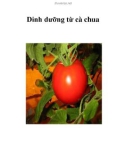 Dinh dưỡng từ cà chua