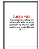 Luận vănCác giải pháp nhằm phát triển nguồn nhân lực trong quá trình hội nhập và cạnh tranh trong khuôn khổ của WTO