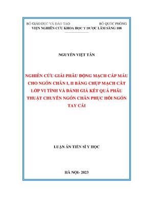 Luận án Tiến sĩ Y học: Nghiên cứu giải phẫu động mạch cấp máu cho ngón chân I, II bằng chụp mạch cắt lớp vi tính và đánh giá kết quả phẫu thuật chuyển ngón chân phục hồi ngón tay cái