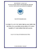 Luận văn Thạc sĩ Chính sách công: Vai trò của các tác nhân trung gian trên thị trường lúa, gạo đồng bằng sông Cửu Long - Nghiên cứu điển hình tỉnh Tiền Giang