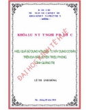 Khóa luận tốt nghiệp: Hiệu quả sử dụng vốn đầu tư xây dựng cơ bản trên địa bàn huyện Triệu Phong, tỉnh Quảng Trị