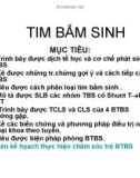 Tim bẩm sinh