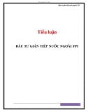 Tiểu luận: Đầu tư gián tiếp nước ngoài FPI