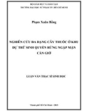 Luận văn Thạc sĩ Sinh học: Nghiên cứu đa dạng cây thuốc ở khu dự trữ sinh quyển rừng ngập mặn Cần Giờ