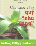 cây lược vàng quý như vàng