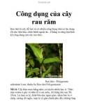 Công dụng của cây rau răm