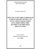 Luận án tiến sĩ Nông nghiệp: Nghiên cứu sử dụng hợp lý đất phèn đồng bằng sông Cửu Long thích ứng với biến đổi khí hậu