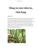 Măng tre tươi chữa ho, viêm họng