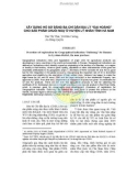 Xây dựng hồ sơ đăng bạ chỉ dẫn địa lý Đại Hoàng cho sản phẩm chuối ngự ở Huyện Lý Nhân tỉnh Hà Nam