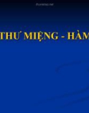 UNG THƯ MIỆNG - HÀM MẶT