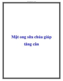 Mật ong sữa chúa giúp tăng cân