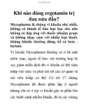 Khi nào dùng ergotamin trị đau nửa đầu?