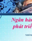 Thuyết trình: Ngân hàng phát triển - Dự án Hầm Hải Vân