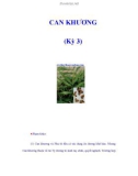 CAN KHƯƠNG (Kỳ 3)