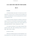 CÁC CHẤT DẪN TRUYỀN THẦN KINH (Kỳ 3)