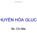 CHUYỂN HÓA GLUCID- BS Chi Mai