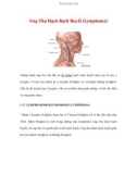 Ung Thư Hạch Bạch Huyết (Lymphoma)