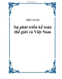 TIỂU LUẬN: Sự phát triển kế toán thế giới và Việt Nam