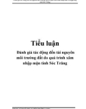 Tiểu luận: Đánh giá tác động đến tài nguyên môi trường đất do quá trình xâm nhập mặn tỉnh Sóc Trăng