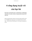 6 công dụng tuyệt vời của bạc hà