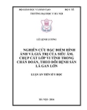 Luận án tiến sĩ Y học: Nghiên cứu đặc điểm hình ảnh và giá trị của siêu âm, chụp cắt lớp vi tính trong chẩn đoán, theo dõi bệnh sán lá gan lớn