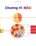 Bài giảng Sinh học động vật - Chương 5.1: Máu