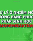 XỬ LÝ Ô NHIỄM MÔI TRƯỜNG BẰNG PHƯƠNG PHÁP SINH HỌC (BIOREMEDIATION)