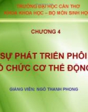 Bài giảng Sinh học đại cương A2: Chương 4 - Ngô Thanh Phong