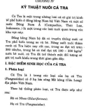 Nuôi Và XUất Khẩu Cá Sấu phần 4