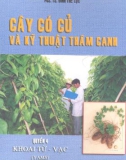 Cây có củ và kỹ thuật thâm canh - Khoai từ -Vạc part 1