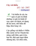 Cây vải thiều