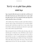 Xử lý vỏ cà phê làm phân sinh học